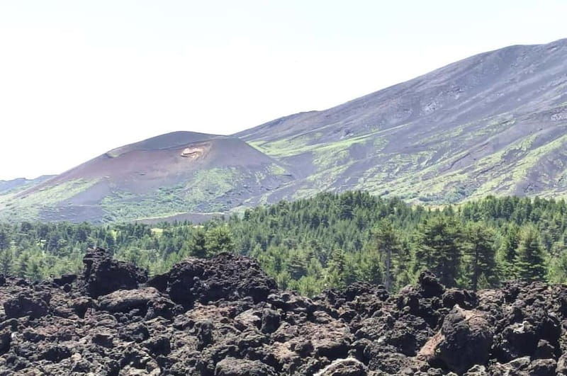 From Taormina: Etna Walking Tour and Wine Tasting in Winery - The Itinerary Breakdown