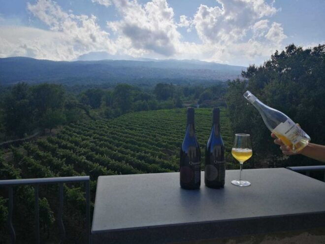 From Taormina: Etna Wineries Small Group Tour - Customer Reviews