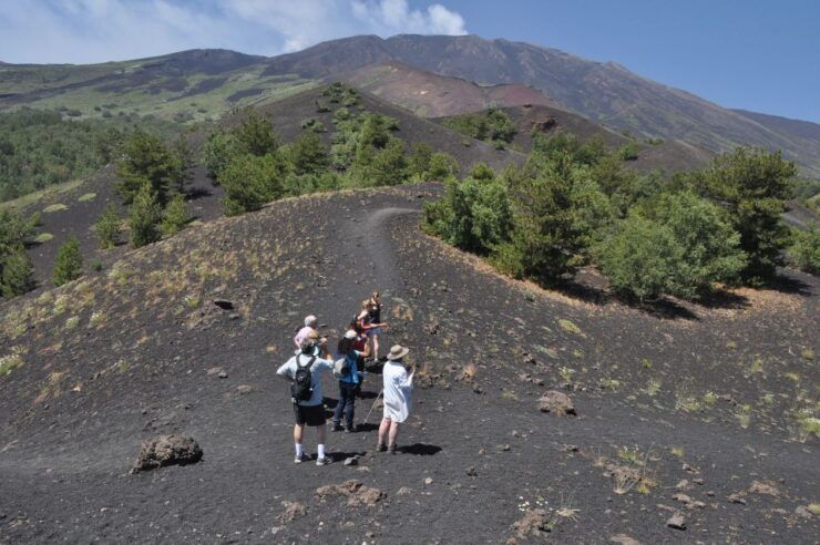 From Taormina: Full-Day Etna, Wine & Alcantara Canyons Tour - Tour Experience Highlights