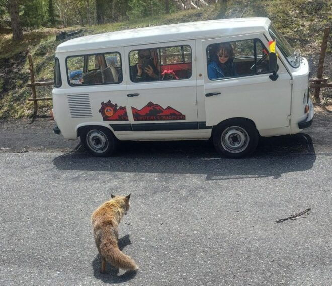 From Taormina: Guided Tour of Etna - Booking Information and Benefits