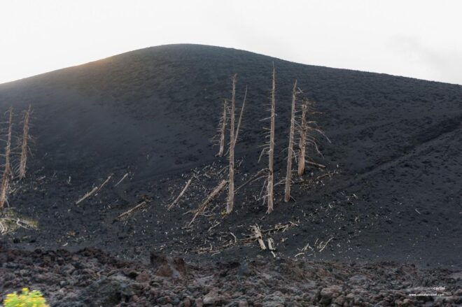 From Taormina: Mount Etna Tour to 1900 Mt - Important Information