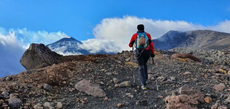 From Taormina or Catania: Private Full-Day Mount Etna Hike - Itinerary