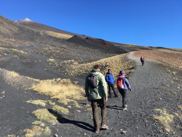 From Taormina or Catania: Private Full-Day Mount Etna Hike - Highlights
