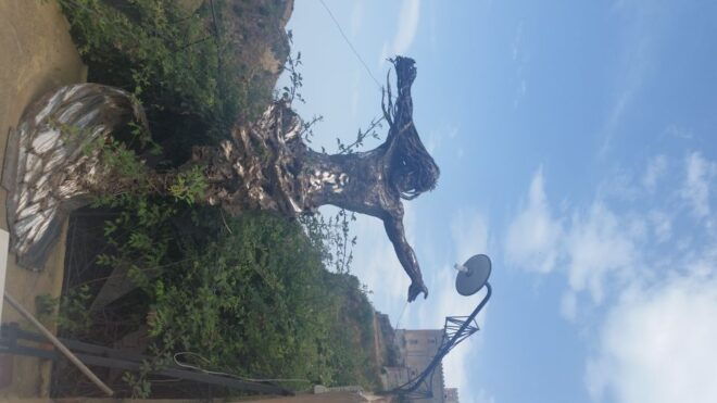 From Taormina: Savoca and Forza D'agrò the Godfather Tour - Directions