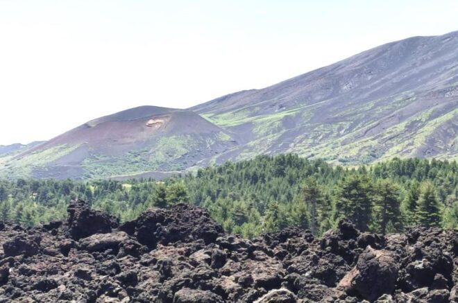 From Taormina Small Group Etna Walking and Wine/Food Tasting - Frequently Asked Questions