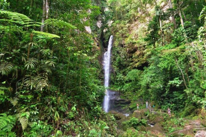 From Tarapoto: Ahuashiyacu Waterfall Half Day Tour - Experience Highlights