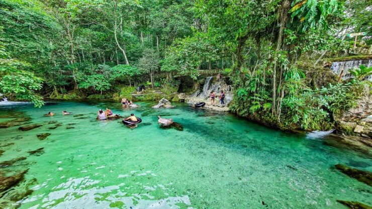 From Tarapoto: Alto Mayo Valley Full Day Tour - Booking Information