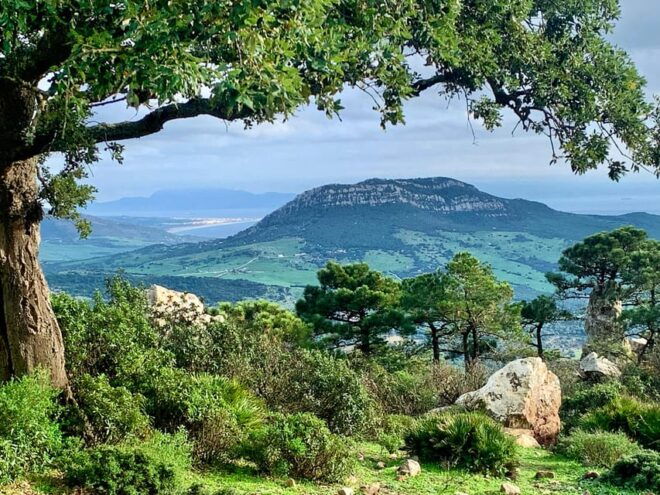 From Tarifa: Guided Hiking Tour in the Strait Natural Park - Itinerary Details