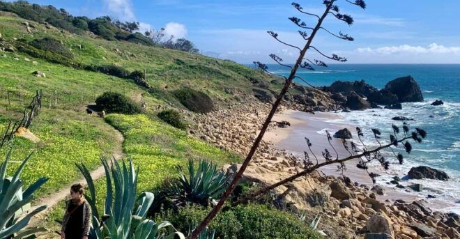 From Tarifa: Guided Hiking Tour in the Strait Natural Park - Included Services