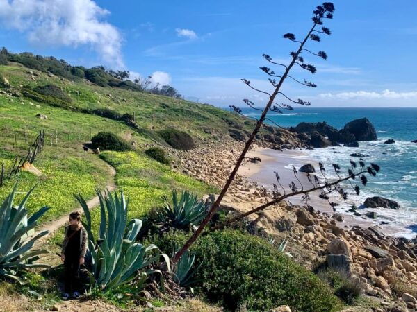 From Tarifa: Guided Hiking Tour in the Strait Natural Park - Stunning Views and Landscapes