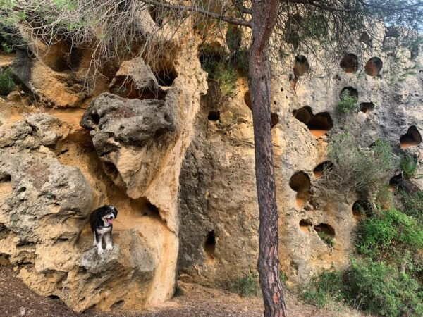 From Tarifa: Guided Hiking Tour in the Strait Natural Park - Customer Feedback