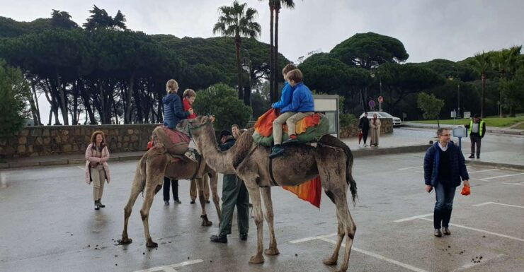 From Tarifa: Tangier Day Tour With Bazaar Shopping and Lunch - Activity Inclusions