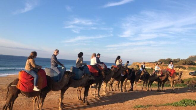 From Tarifa: Tangier Full Day Trip With Ferry Tickets - Inclusions