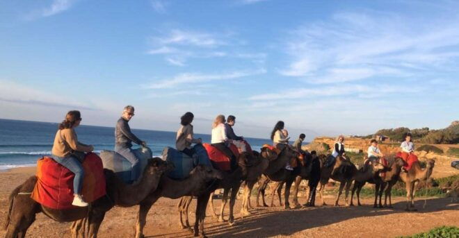 From Tarifa: Tangier Full Day Trip With Guide - Frequently Asked Questions