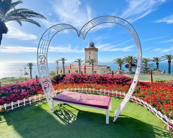 From Tarifa to Tanger: Complete Tour+ Camel Ride+ Food - Included Services