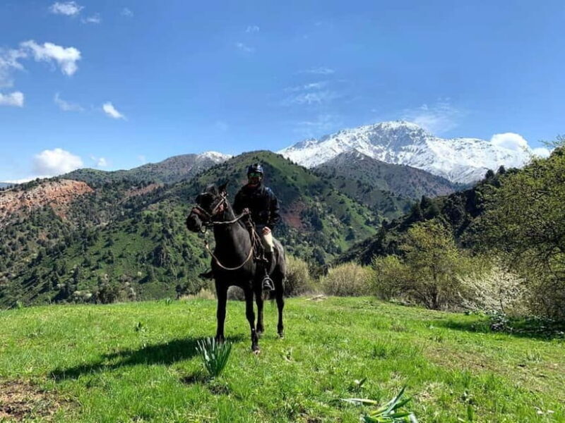 From Tashkent: Chimgan Valley Hiking Day Trip - An Overview of the Chimgan Valley Day Trip