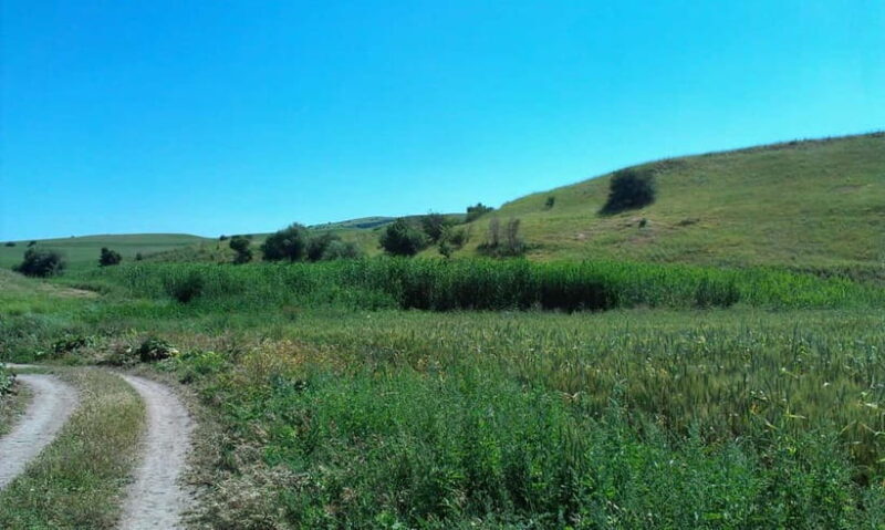 From Tashkent: Chimgan Valley Hiking Day Trip - The Landscape and Photo Opportunities