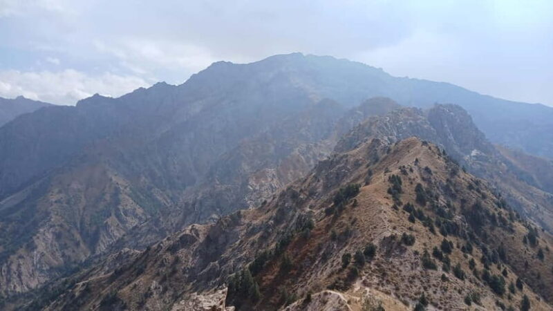 From Tashkent: Small Chimgan Peak Hiking Day Trip - Authentic Experiences and Traveler Insights