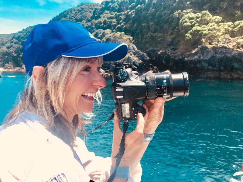 From Tauranga: Dolphin and Wildlife Cruise - An In-Depth Look at the Experience