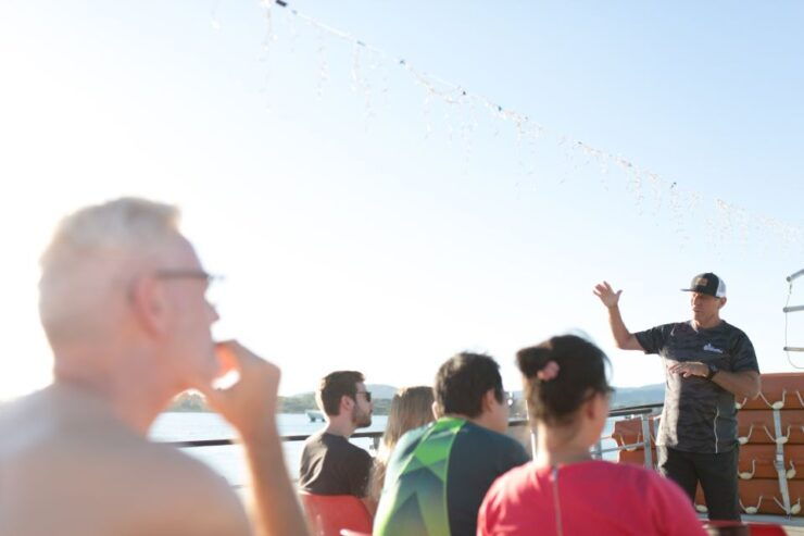 From Tauranga: Dolphin and Wildlife Cruise - Activity Details