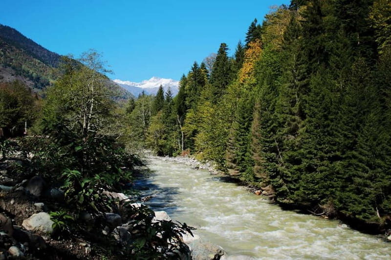 From Tbilisi: Ambrolauri Full-Day Guided Tour with Lunch - Good To Know