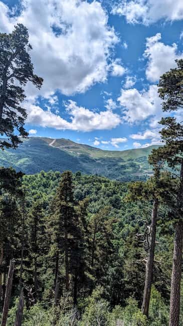 From Tbilisi: Bakuriani 1-Day Eco Tour by Electric Car - Good To Know  