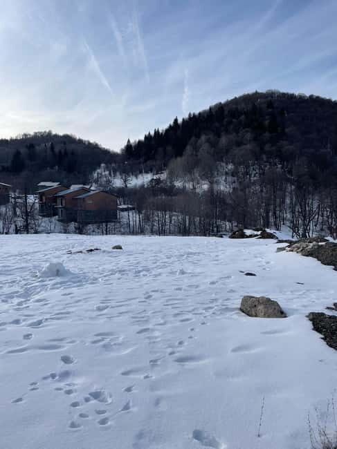 From Tbilisi: Bakuriani and Borjomi Day Trip - Good To Know