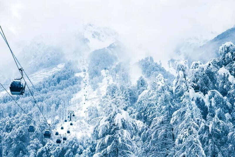 From Tbilisi: Borjomi and Bakuriani Ski Resort Private Tour - Exploring Georgia’s Scenic Gems: Borjomi and Bakuriani Private Tour