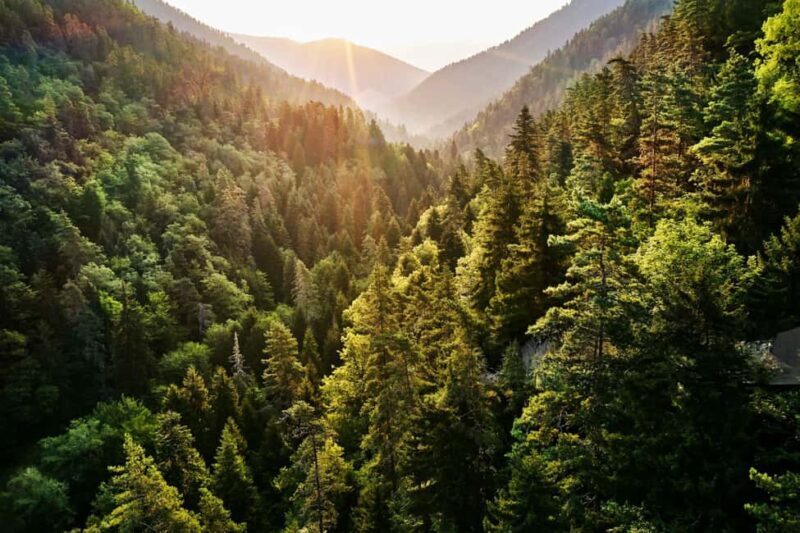 From Tbilisi: Borjomi, Green Monastery & Rabati Castle Tour - FAQ