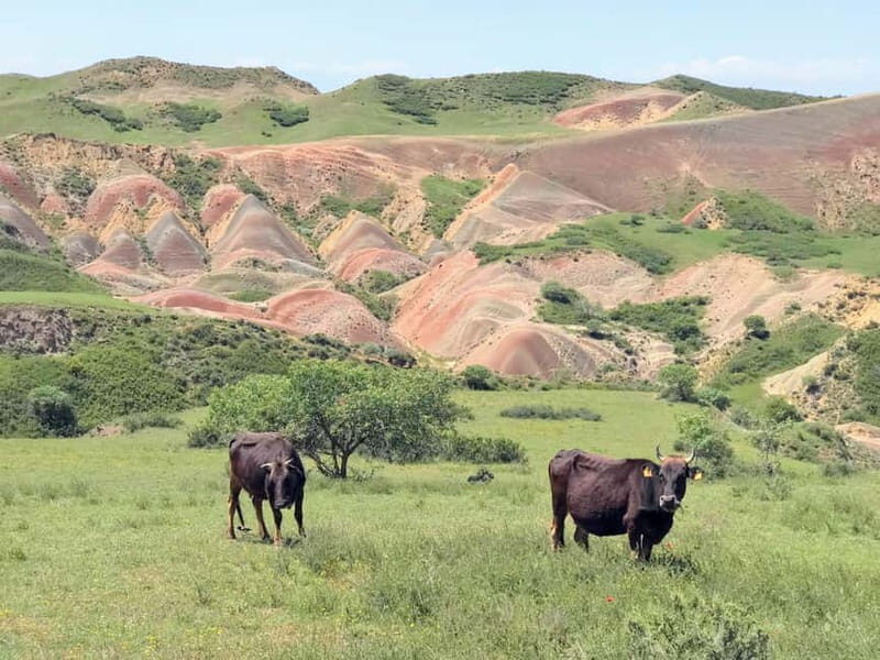 From Tbilisi: Kakheti and Kazbegi 2-Day 4X4 Jeep Tour pack - Frequently Asked Questions