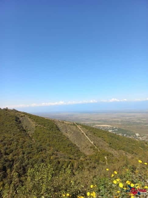 From Tbilisi: Kakheti Day Trip with Wine Tasting - Good To Know