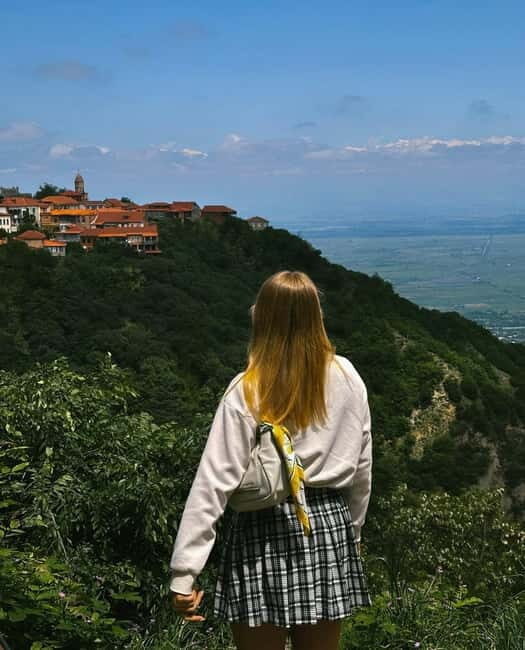 From Tbilisi: Kakheti Wine Region Tour with 9 Wine Tastings - FAQ