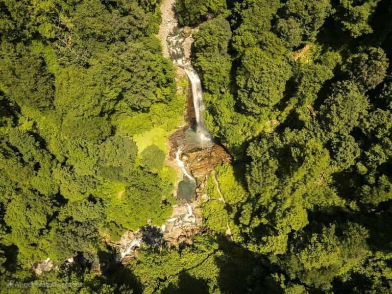 From Tbilisi: Private Ninoskhevi Waterfall Hike in Lagodekhi - Practical Tips for the Tour