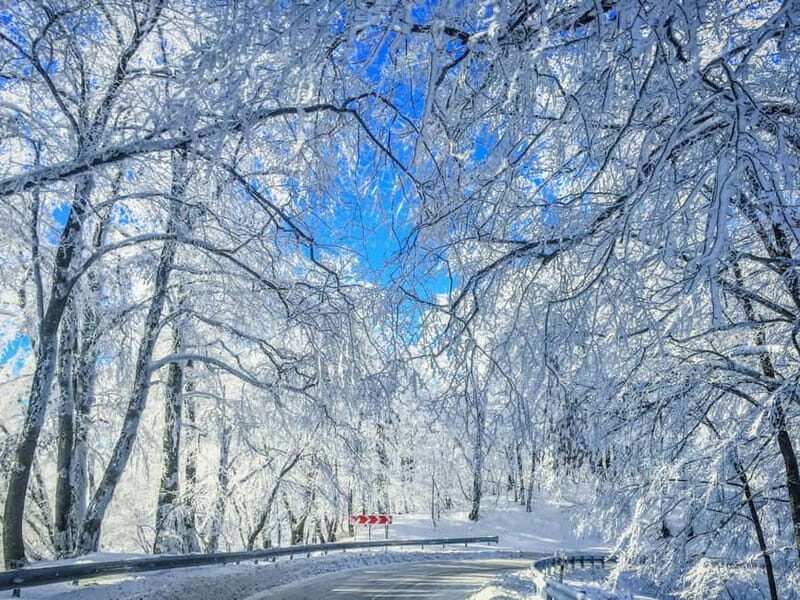 From Tbilisi: Private Sabaduri, Ananuri, & Gudauri Day Trip - Itinerary Breakdown: What to Expect