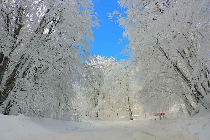 From Tbilisi: Private Sabaduri, Ananuri, & Gudauri Day Trip - Weather and Practical Tips