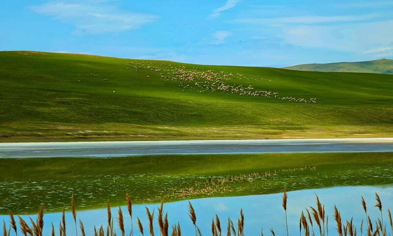 From Tbilisi: Rainbow Mountain & David Gareja Monastery Trip - A Deep Dive into the Experience: What to Expect and Why It Matters