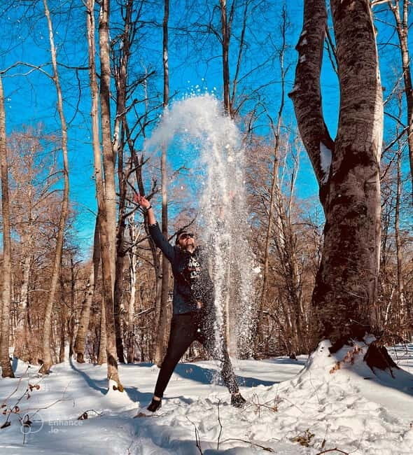 From Tbilisi: Sabaduri, Bears, Jvari & Chronicle of Georgia - Final Thoughts