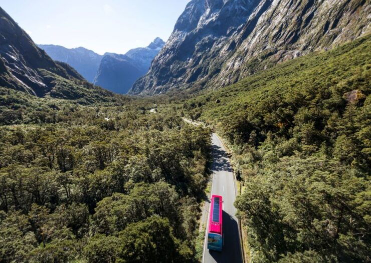 From Te Anau: 1-Day Milford Sound Coach & Cruise With Lunch - Activity Details