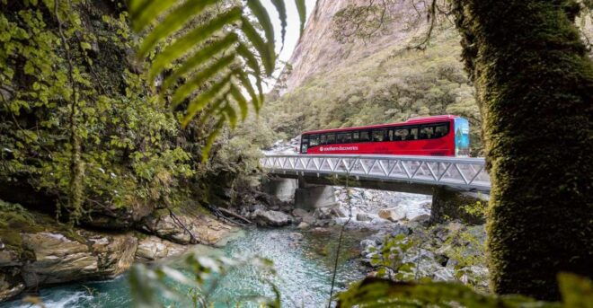 From Te Anau: 1-Day Milford Sound Coach & Cruise With Lunch - Customer Reviews