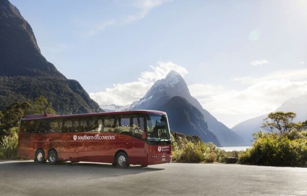 From Te Anau: 1-Day Milford Sound Coach & Cruise With Lunch - Common Questions
