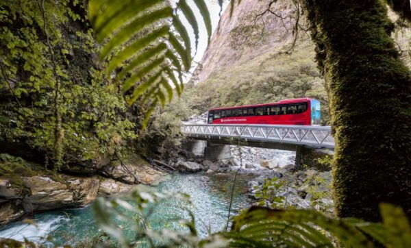 From Te Anau: 1-Day Milford Sound Coach & Cruise With Lunch - The Sum Up