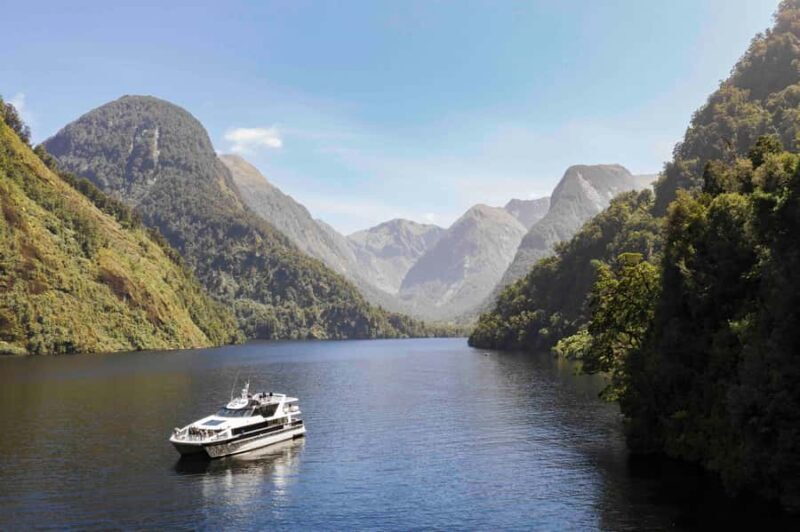 From Te Anau: Doubtful Sound Coach & Cruise - Good To Know