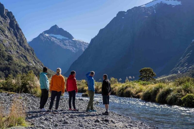 From Te Anau: Milford Sound Coach, Cruise, and Walks - From Te Anau: Milford Sound Coach, Cruise, and Walks — Honest Review