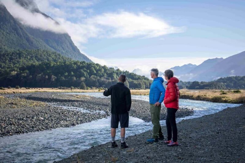 From Te Anau: Milford Sound Coach, Cruise, and Walks - Transportation, Group Size, and Overall Value