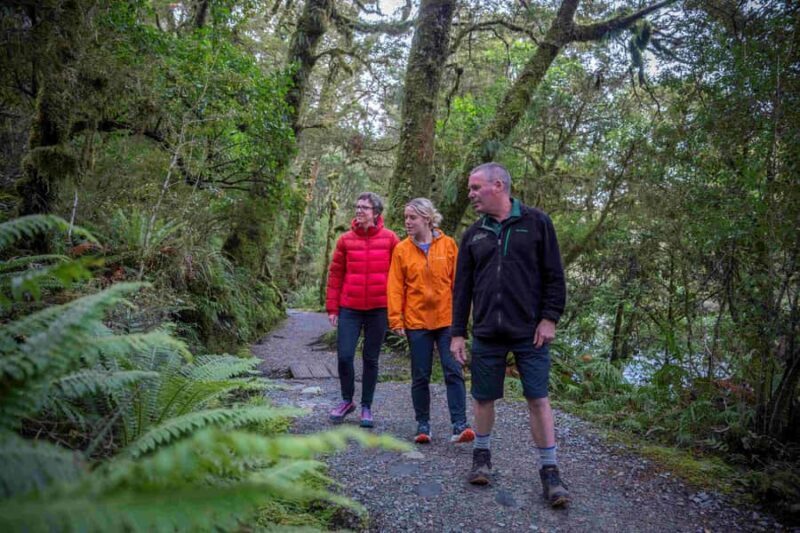 From Te Anau: Milford Sound Coach, Cruise, and Walks - Final Words