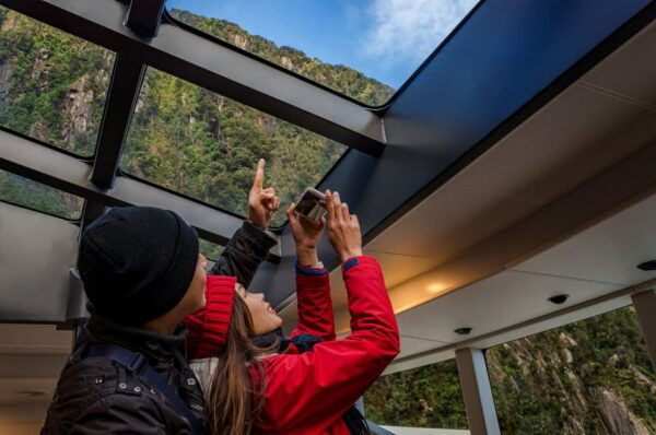 From Te Anau: Milford Sound Coach Tour and Cruise - Additional Information