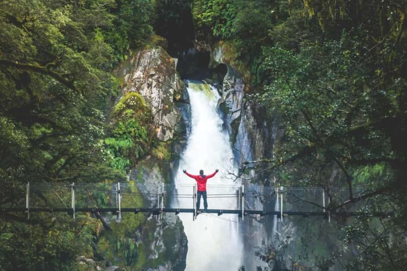 From Te Anau: Milford Sound Cruise & Track Walk by Coach - A Close Look at the Itinerary and What You’ll Experience