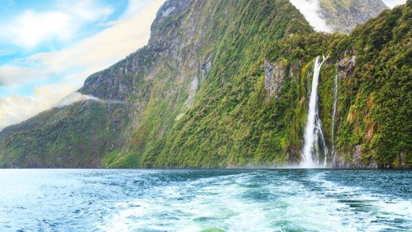 From Te Anau: Milford Sound Tour With Cruise and Lunch - The Sum Up