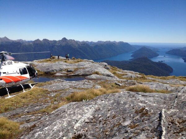 From Te Anau: Scenic Flight to Doubtful and Milford Sound - Common Questions
