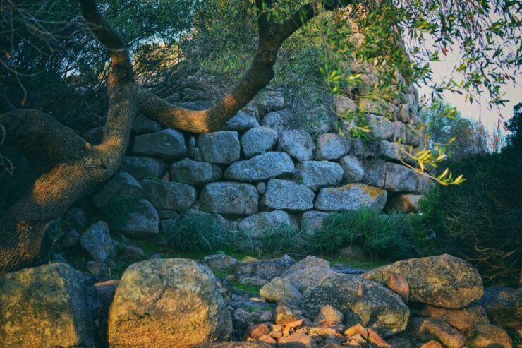 From Tempio Pausania: Full-day 4x4 Mountain Tour of Limbara - Good To Know